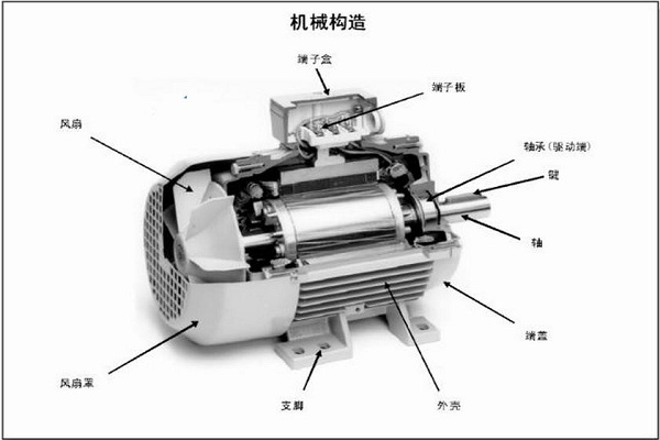 電動(dòng)機(jī)類(lèi)型詳細(xì)解讀